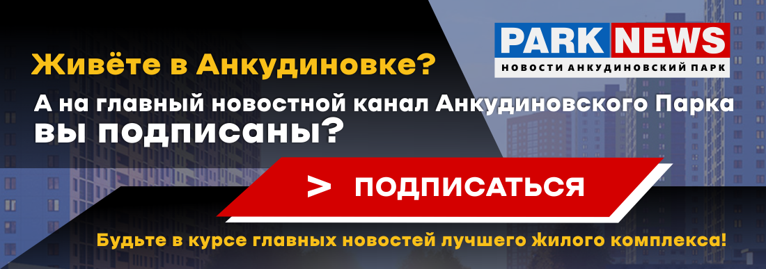 Чат дома Русская 3 в Анкудиновском Парке